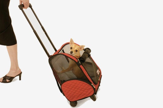 Small dog in the Snoozer Wheel Around 4-In-1 Pet Travel Carrier.